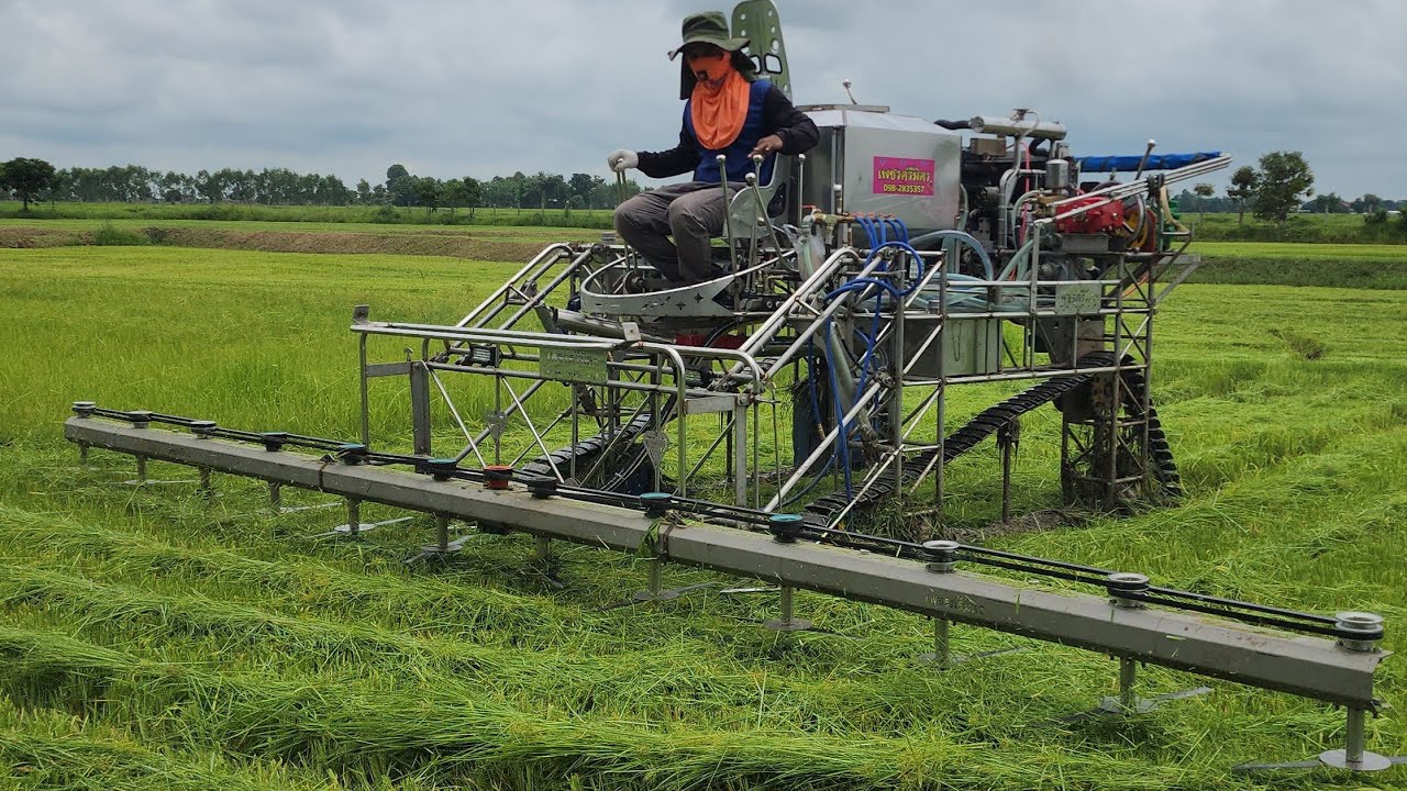 ลืมแบบเก่าไปเลยถ้ามีรถคันนี้ รถตัดใบข้าว lawn mowers in Thailand #ម៉ាស៊ីនកាត់ស្មៅនៅប្រទេសថៃ