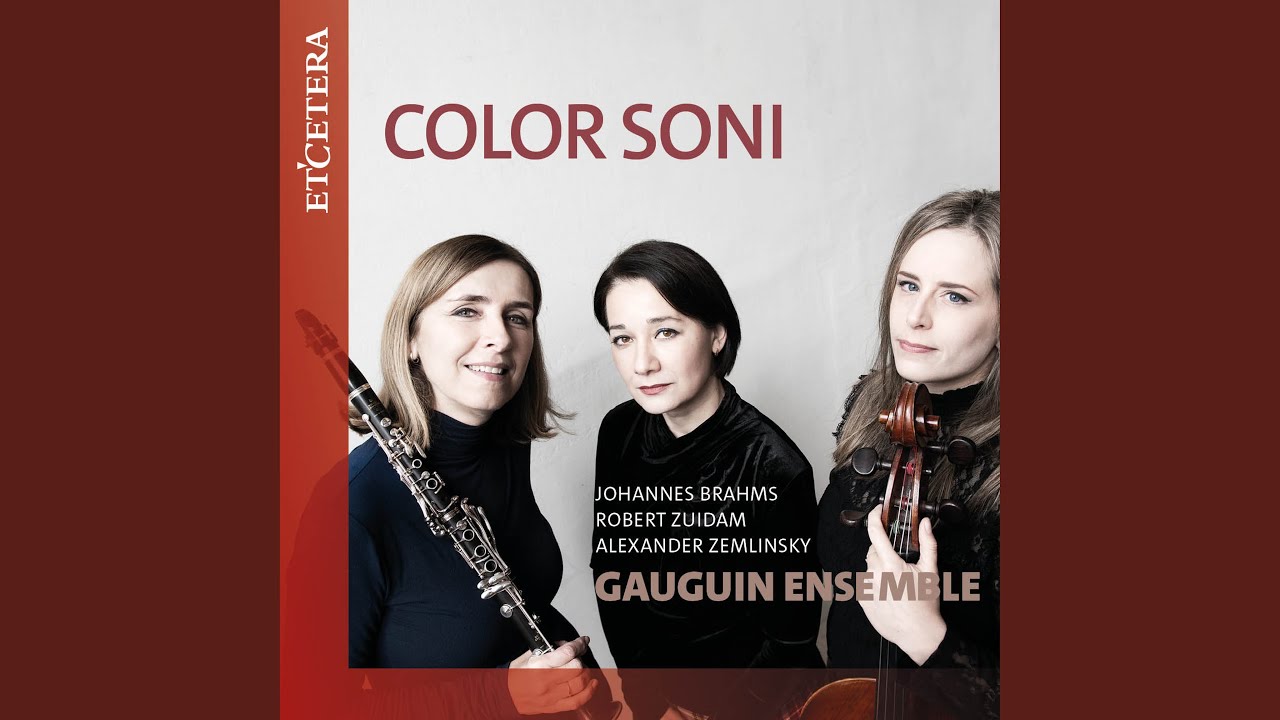 Trio for Clarinet, Cello and Piano in D Minor, Op. 3: III. Allegro