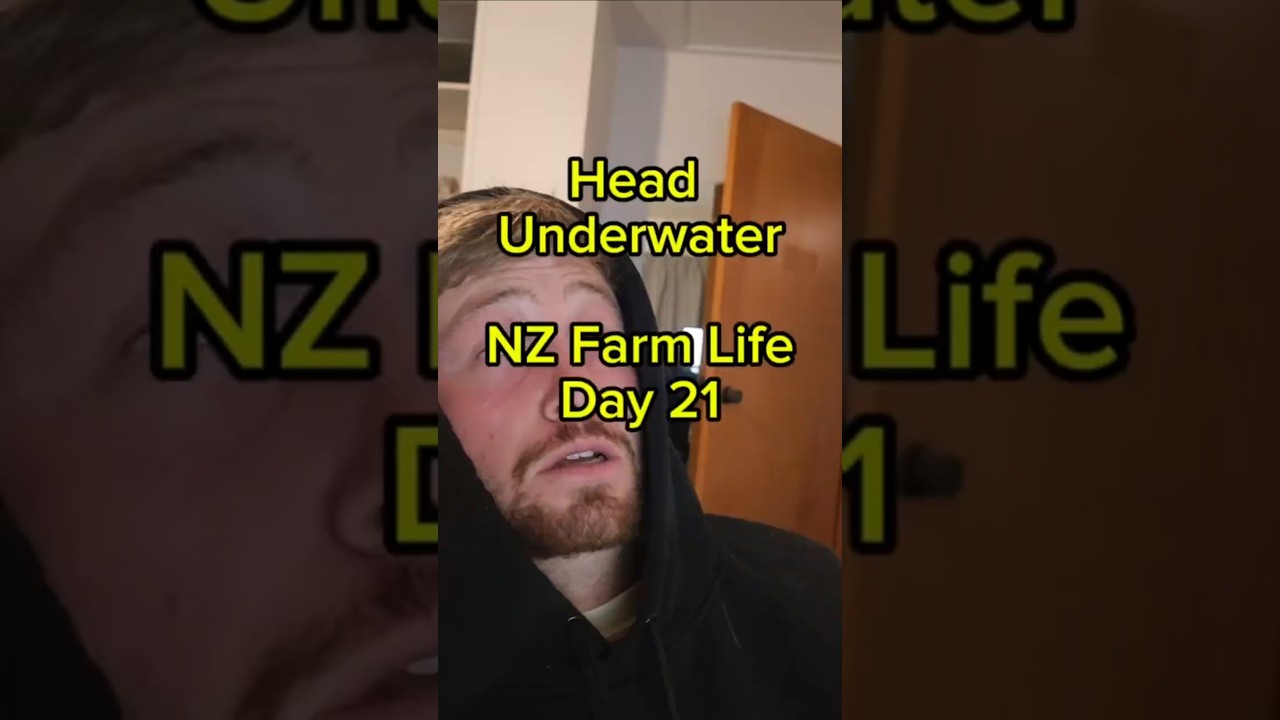 Head underwater - NZ Farm Life Day 21   #farming #dairyfarm #nzfarming #nzdairy