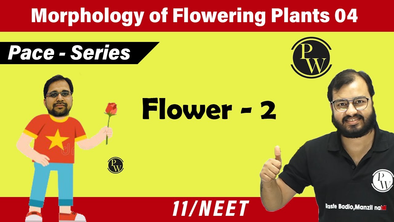 Morphology of Flowering Plants 04 | Flower 02 | Class 11 | NEET | Pace Series