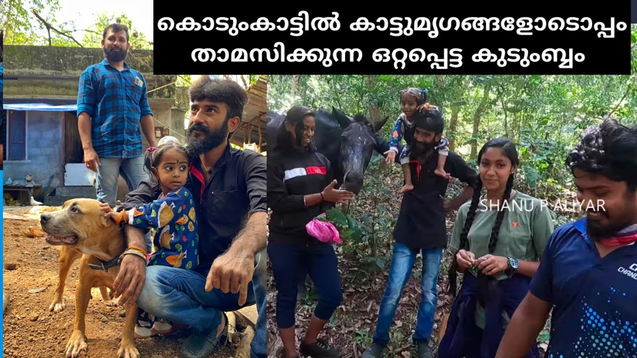 കൊടുംകാട്ടിൽ കാട്ടുമൃഗങ്ങളുടൊപ്പം താമസിക്കുന്ന ഒരു കുടുംബം . കാട്ടു കുതിരയും wild Horse