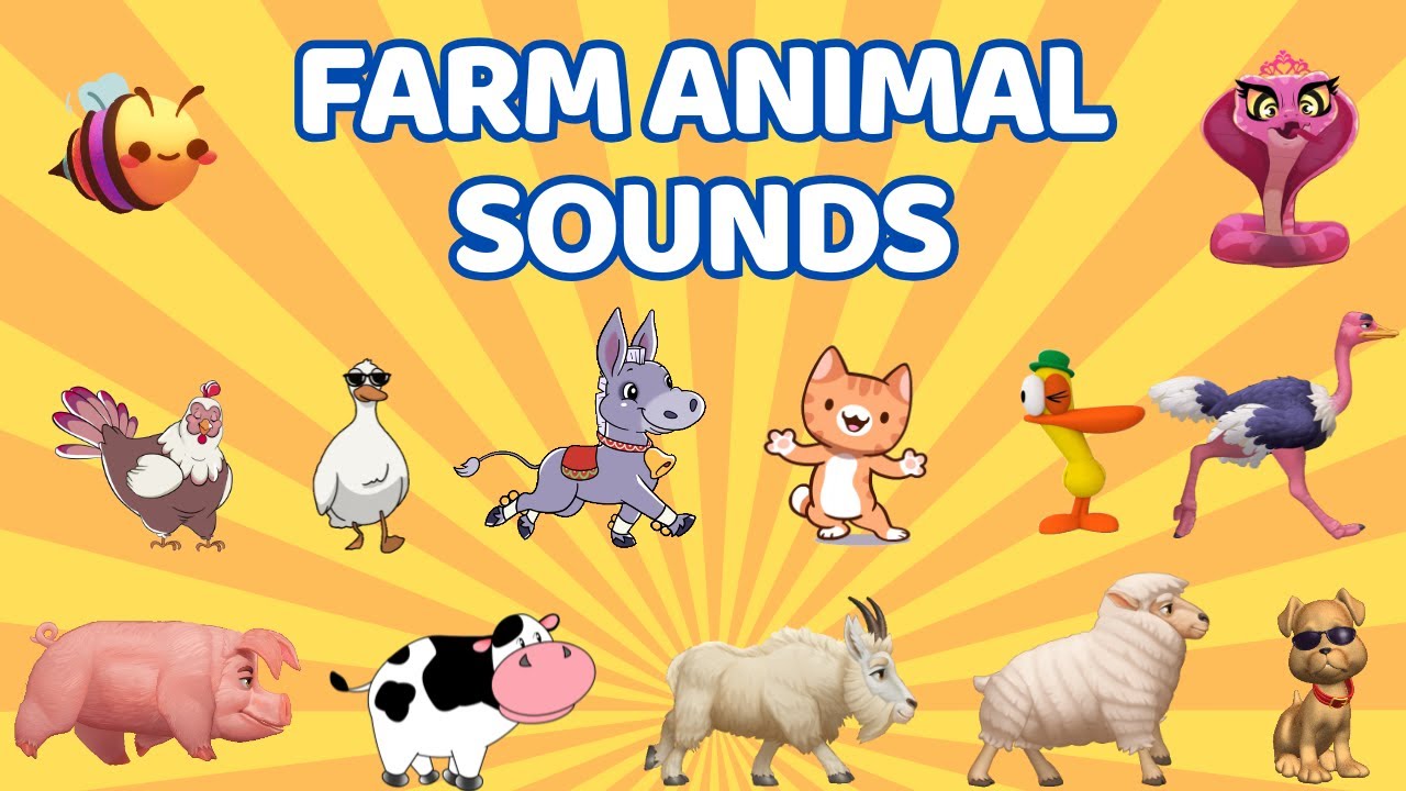 Farm Animal Sounds Song N11T5 | Nursery Rhymes | Kids TV Education