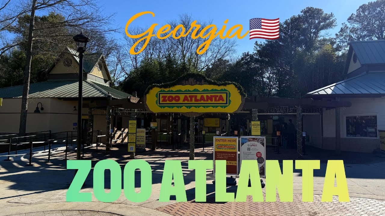 A day with us at the Atlanta Zoo, GA  🇺🇸🐒🦁🐻🦊 | ZOO ATLANTA GEORGIA