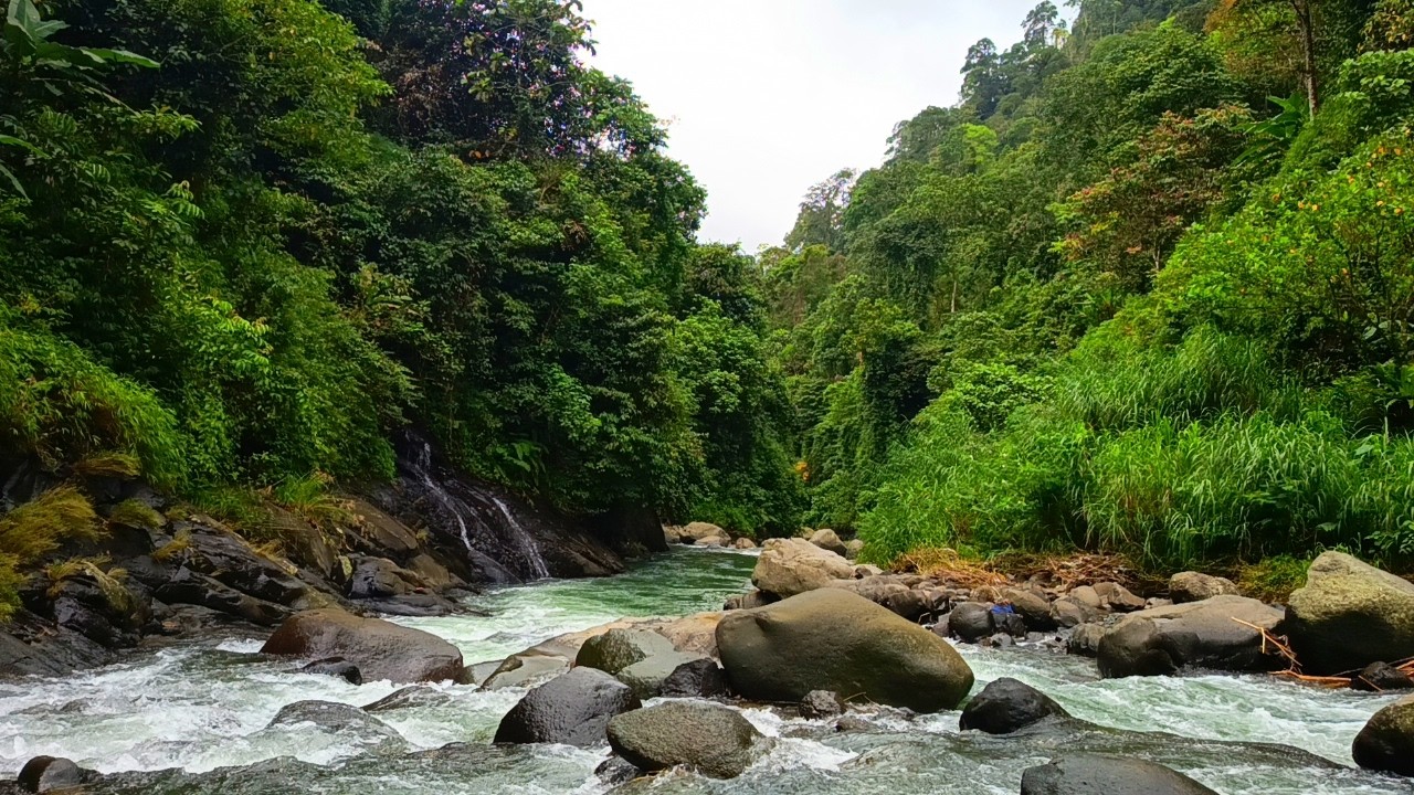 Serene Mountain River White Noise for Study, Relaxation & Sleep