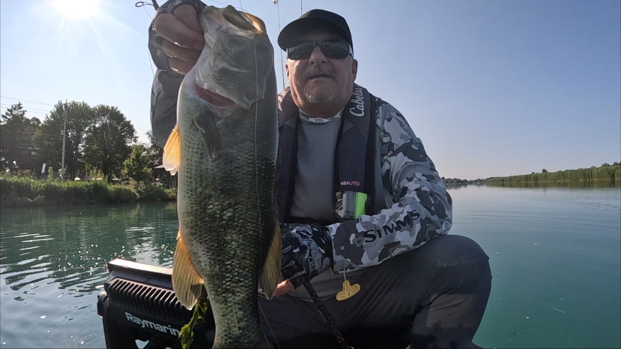 July 2024  Spinners and Frogs a great combo on the Snye River!