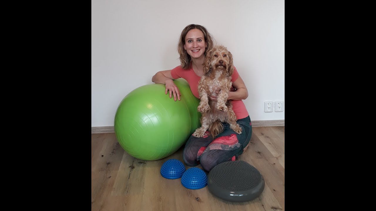 Dogfitness