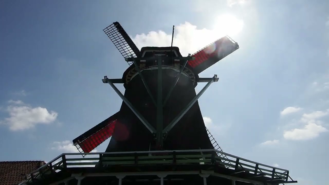 Zaanse (Países Bajos)
