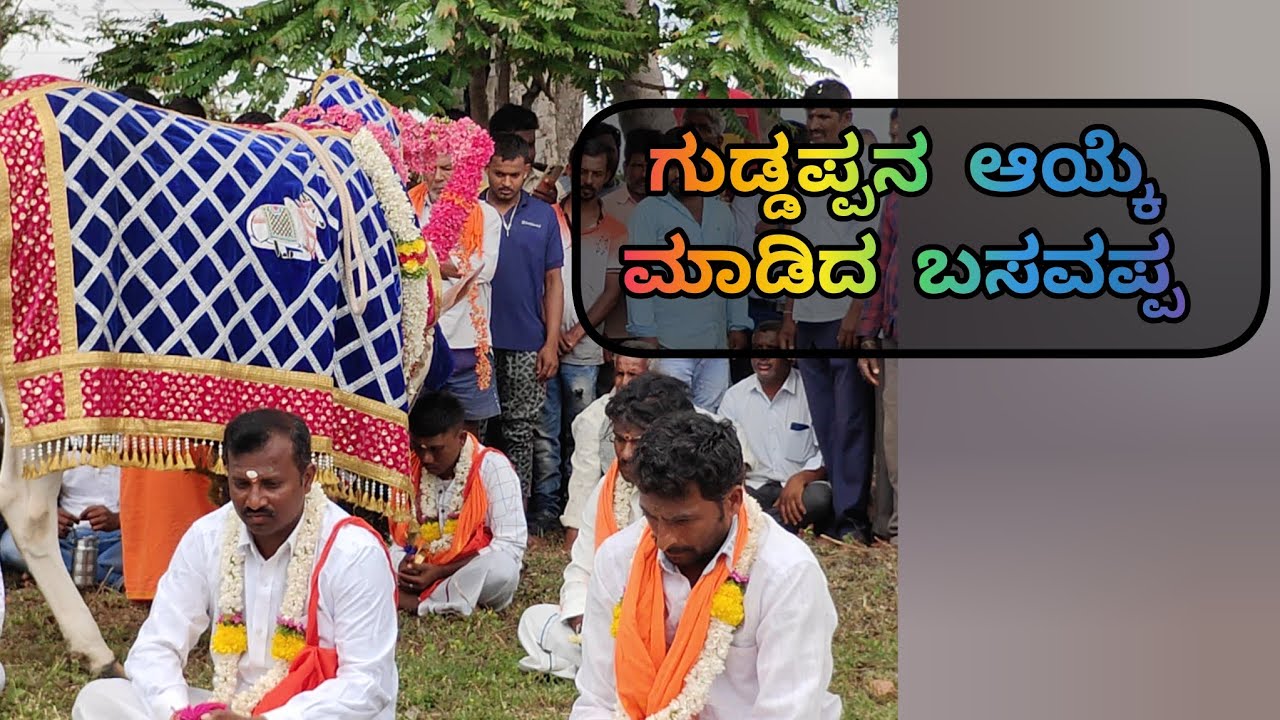 ಕಾರಸವಾಡಿ ಗ್ರಾಮದ ಮಹದೇಶ್ವರ ಸ್ವಾಮಿಯ ಗುಡ್ಡಪ್ಪನ ಆಯ್ಕೆ ಮಾಡಿದ ಬಸವಣ್ಣನ ಪೂರ್ತಿ ದೃಶ್ಯ #karasavadi #mandya