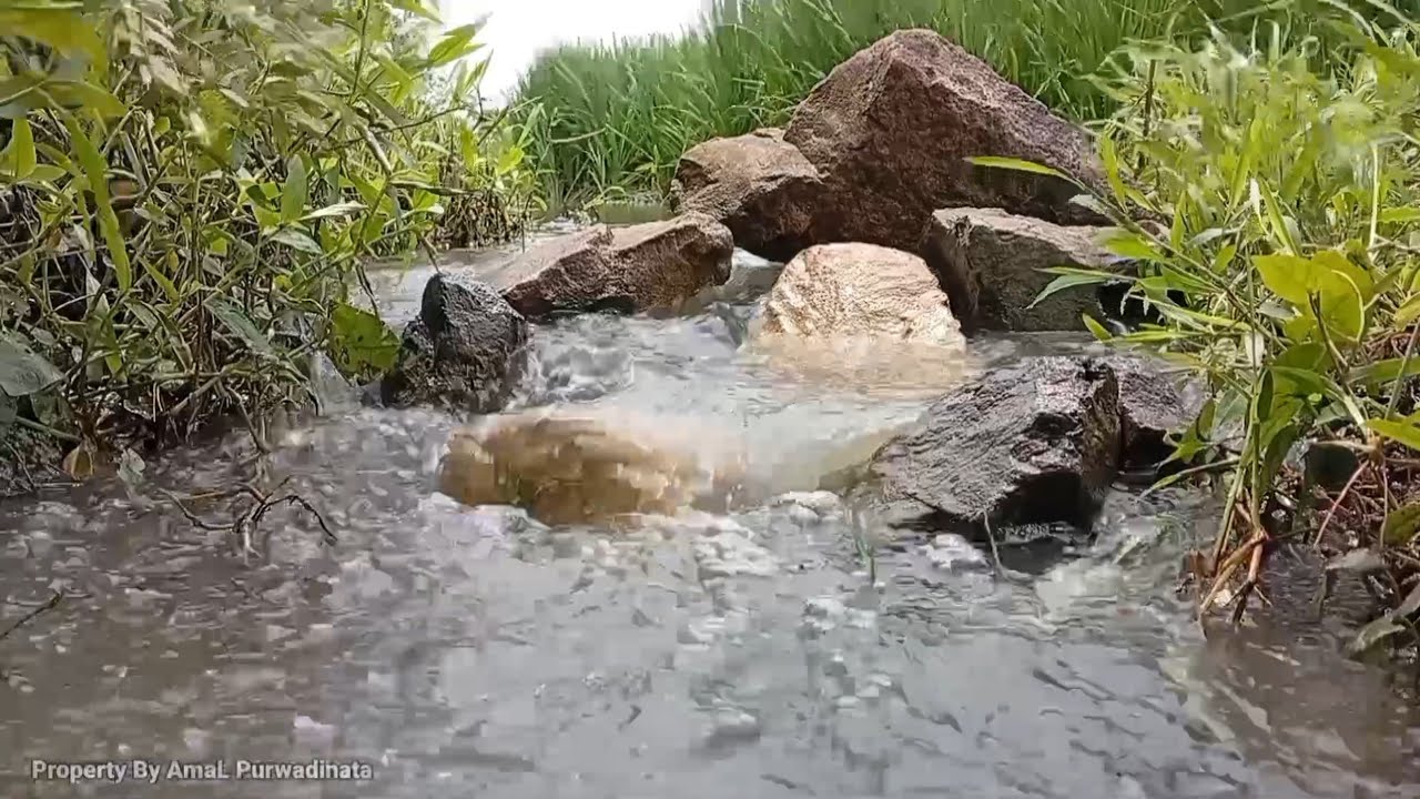 1 hour of the sound of flowing water is so calming that it is very suitable for curing insomnia.