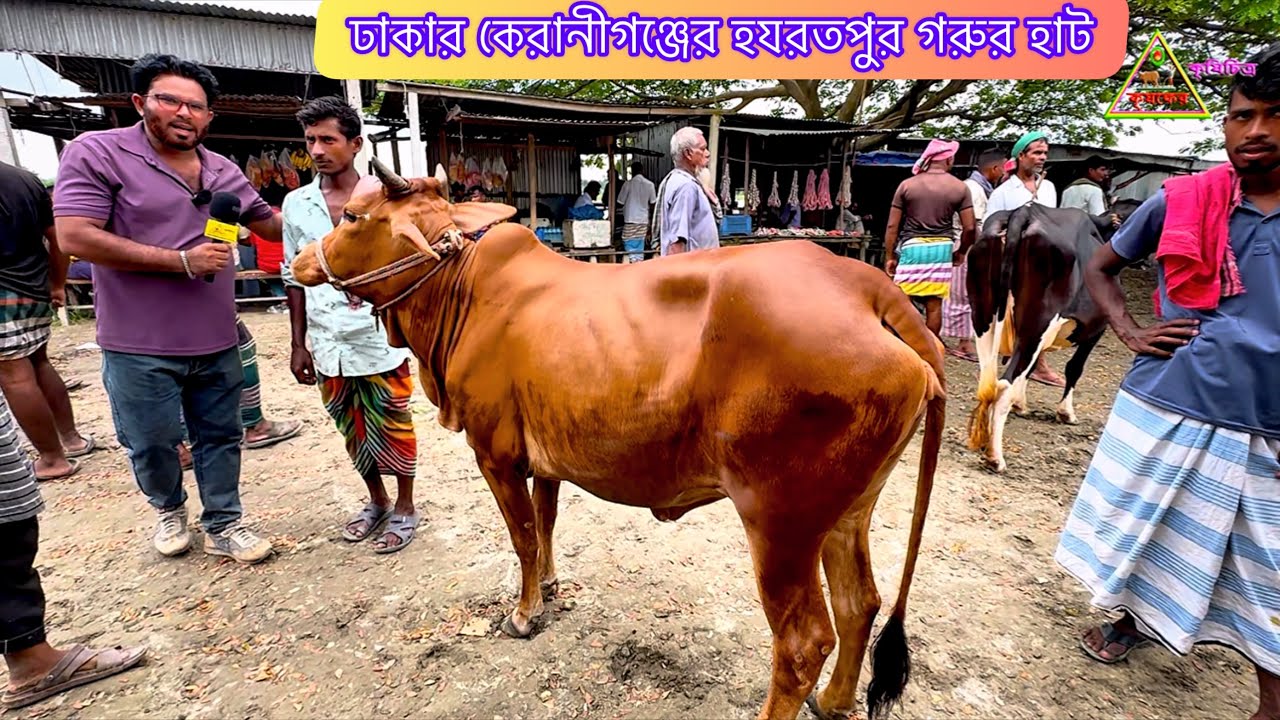 @ ৩১/০৮/২০২৫
