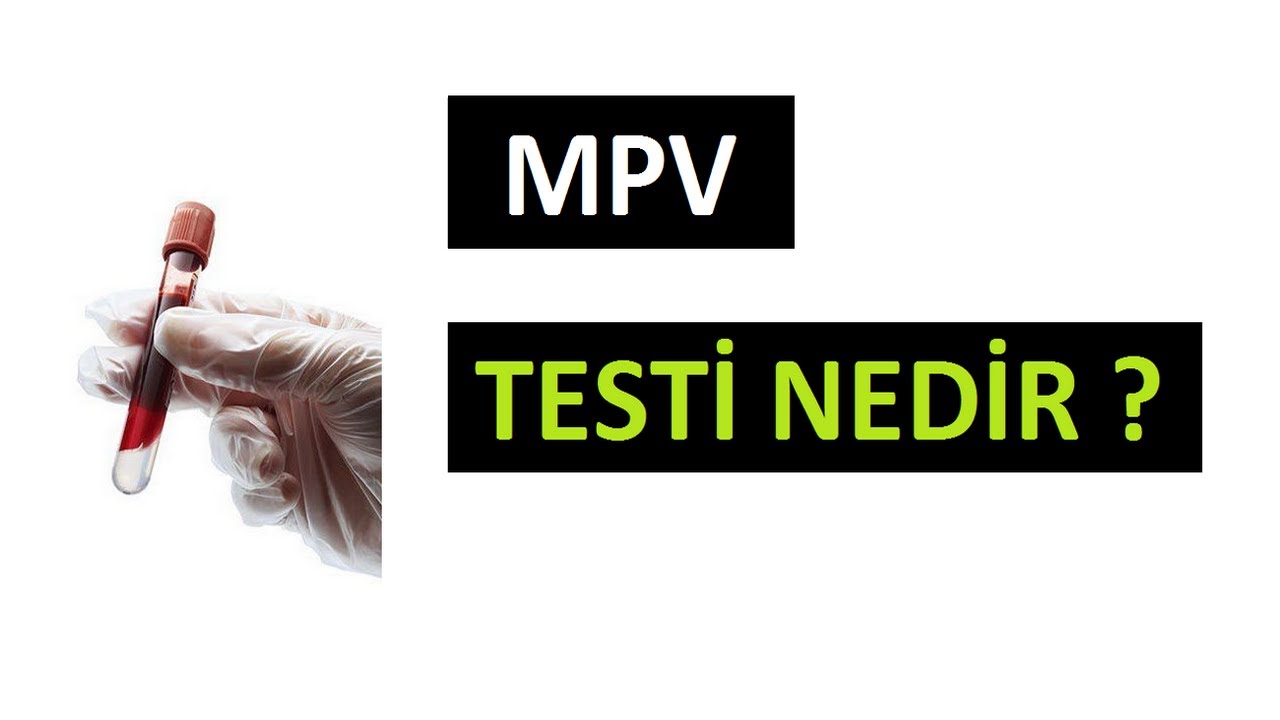 MPV TESTİ Y&Uuml;KSEKLİĞİ ve D&Uuml;Ş&Uuml;KL&Uuml;Ğ&Uuml; NE DEMEK ?