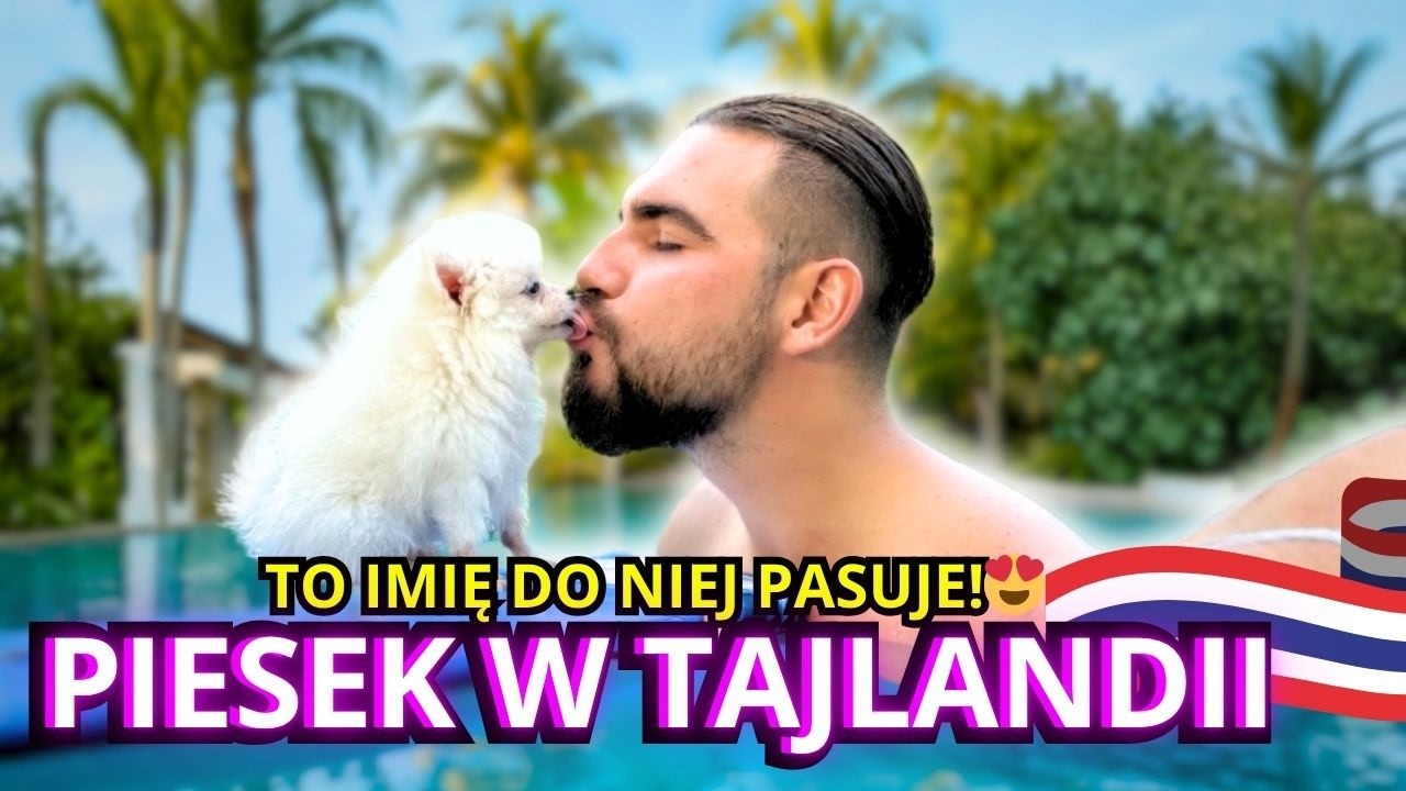 Pierwszy pies w Tajlandii&hellip; Czy kupimy drugiego?🏝️🇹🇭🐶