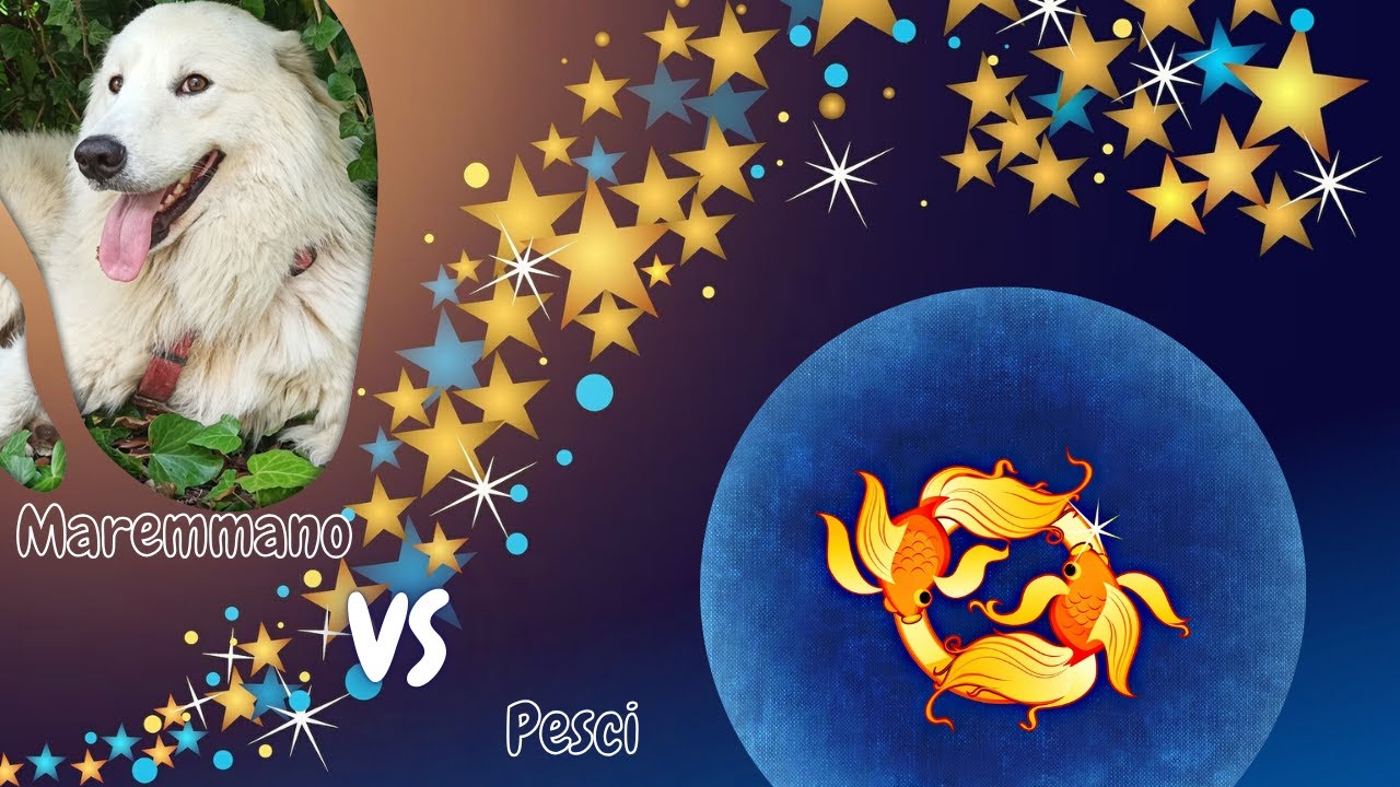 🐾 Pastore Maremmano VS ♓ Pesci
