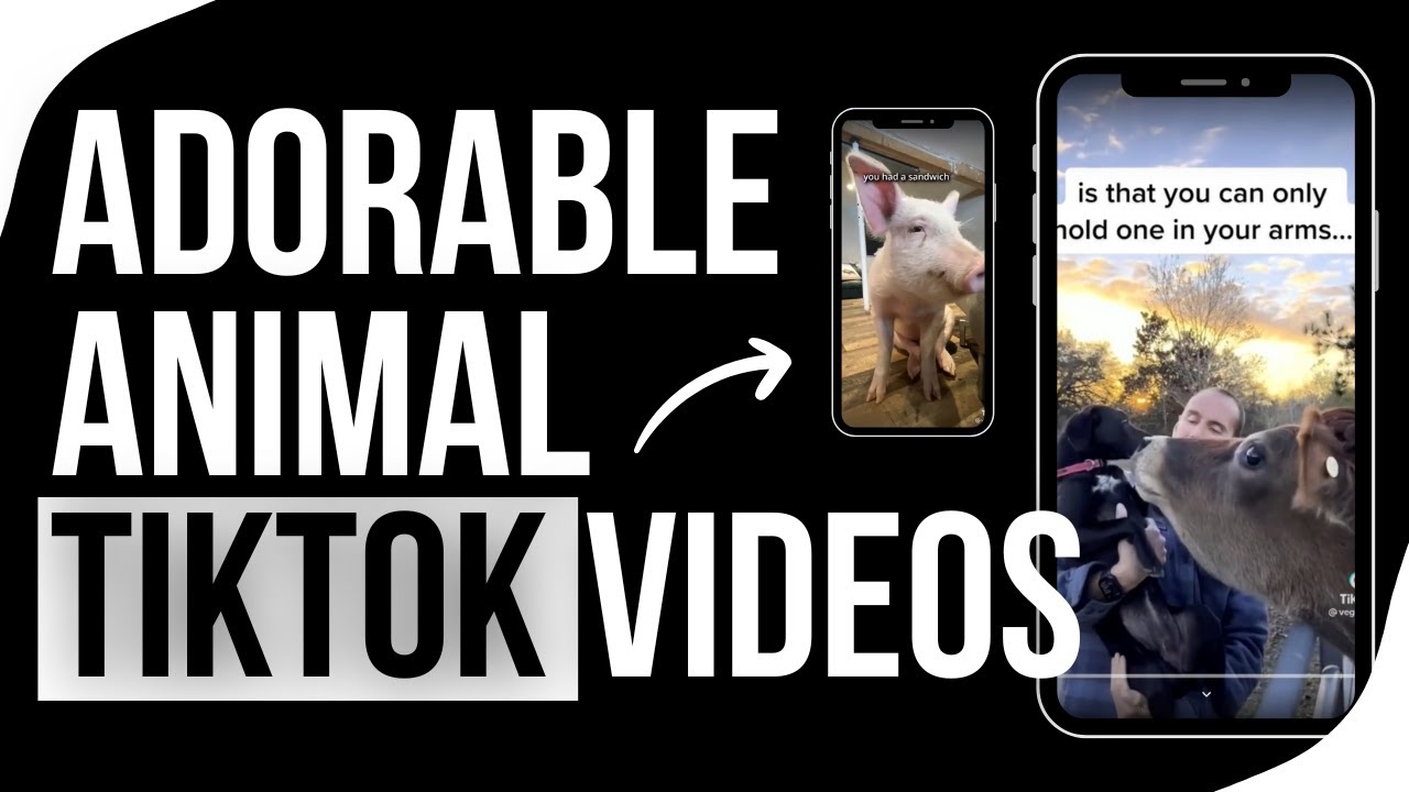 Vegan FTA's Adorable Animal TikTok Compilation