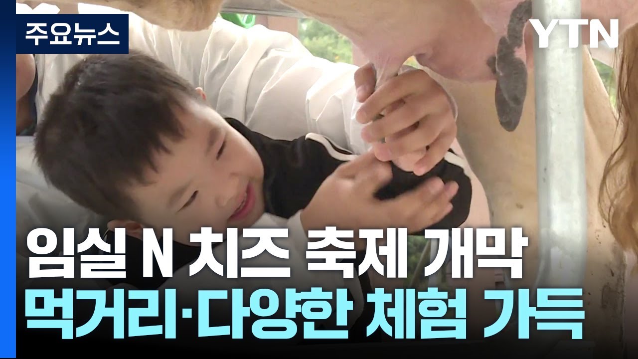 치즈 향 가득한 '임실N치즈축제' 개천절에 개막 / YTN