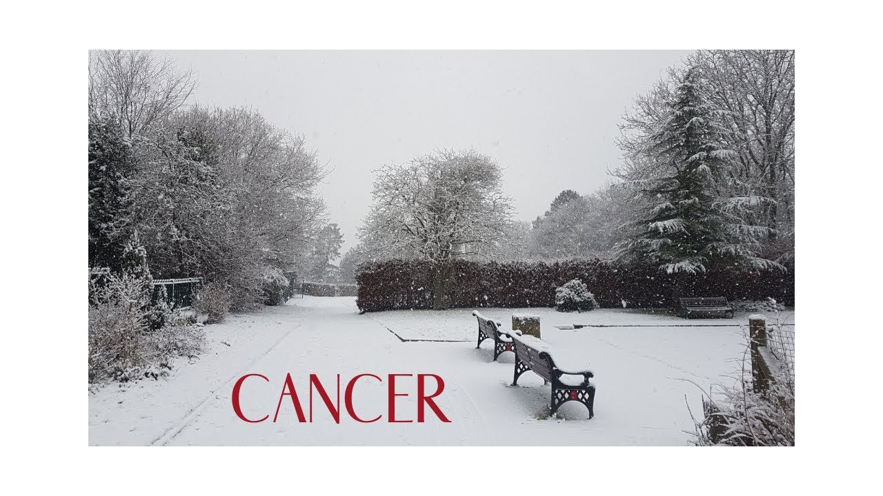 CANCER DEC 2019: Apology and a proposal of sorts incoming.... But should you trust it? ♋