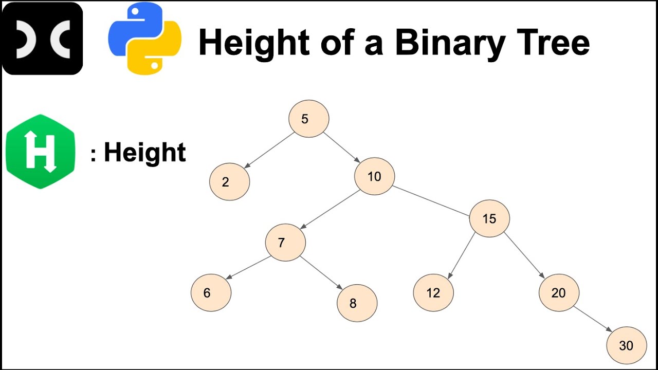 Дерево: высота двоичного дерева | HackerRank | Рекурсия | Python