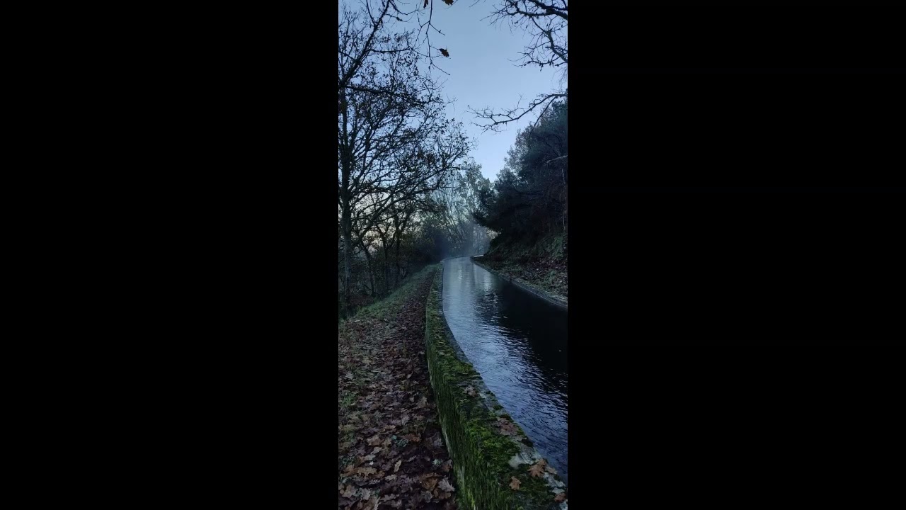 Rota da Barca e das Carvalhas|Ribafeita