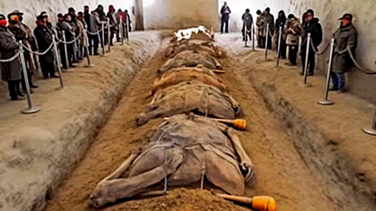 No One Had to See This! TOP 15 STRANGEST Discoveries in Africa