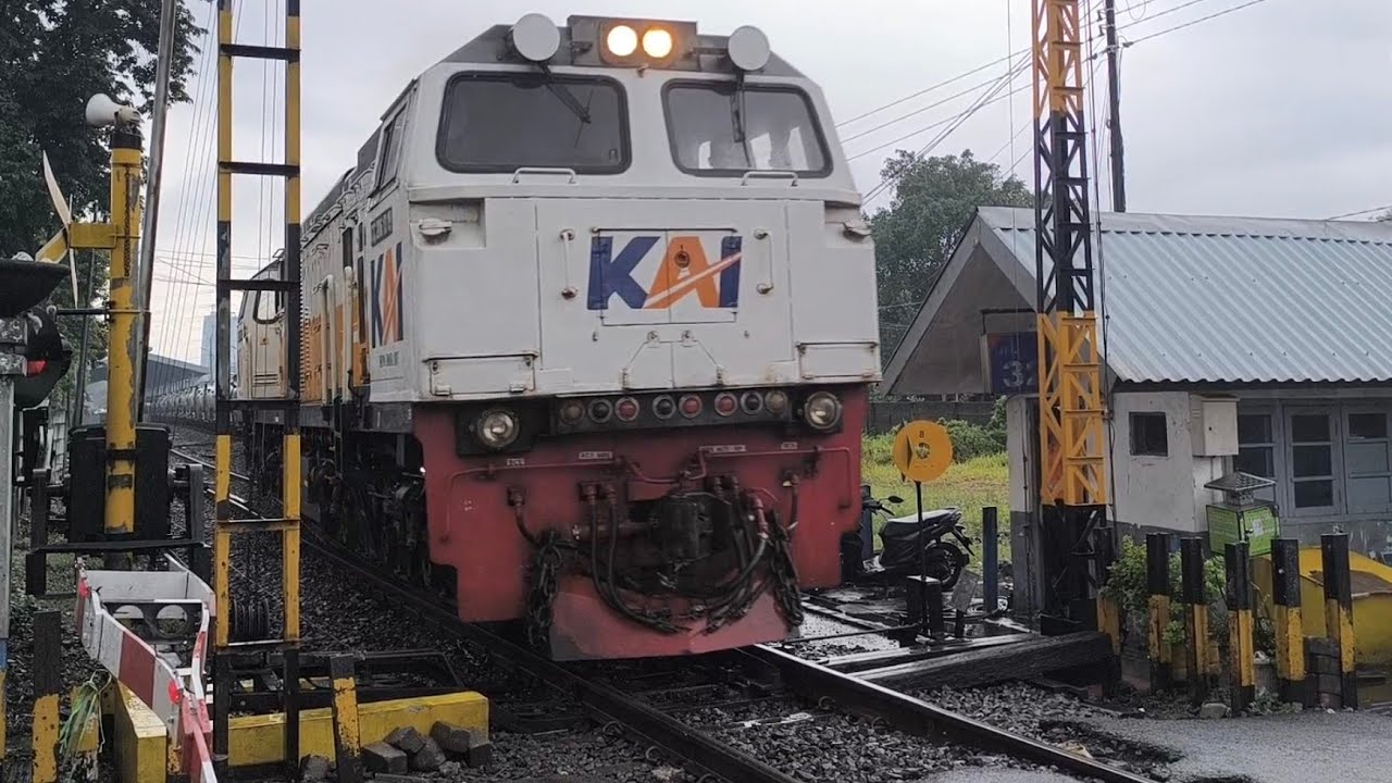 PALANG SEPUR PASAR WARU 