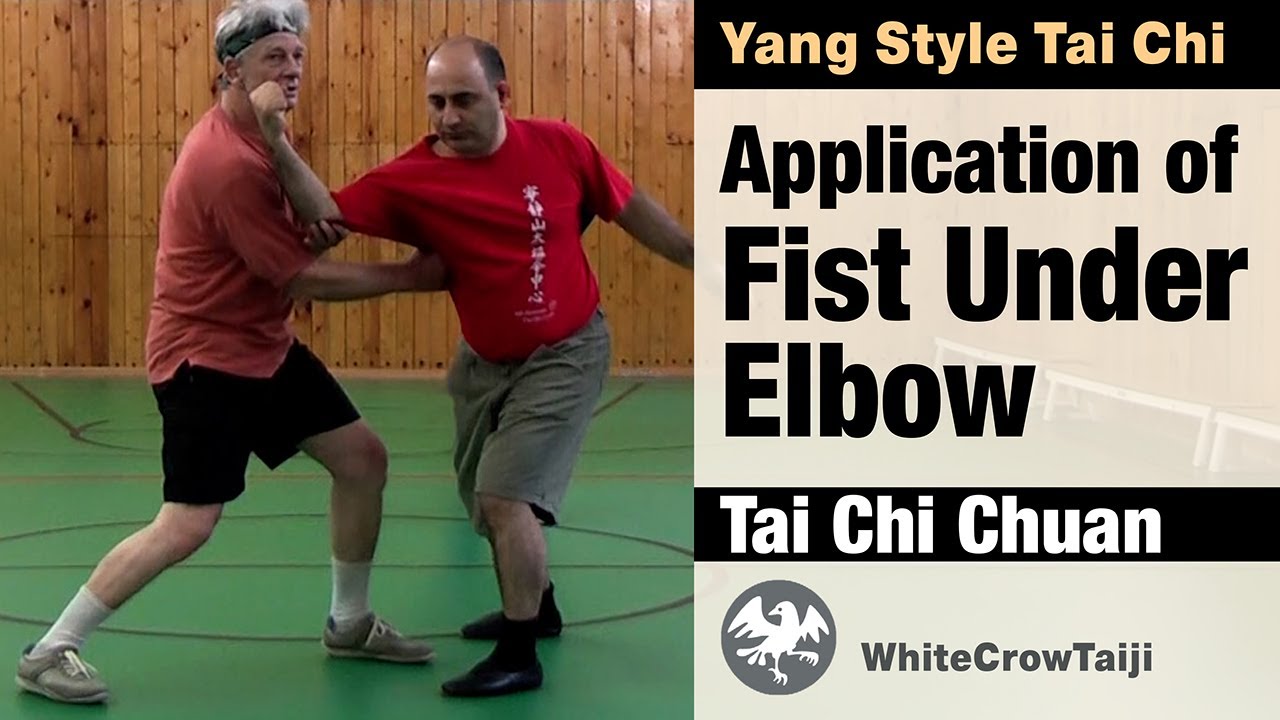 Tai Chi Solo Form Application: Fist Under Elbow