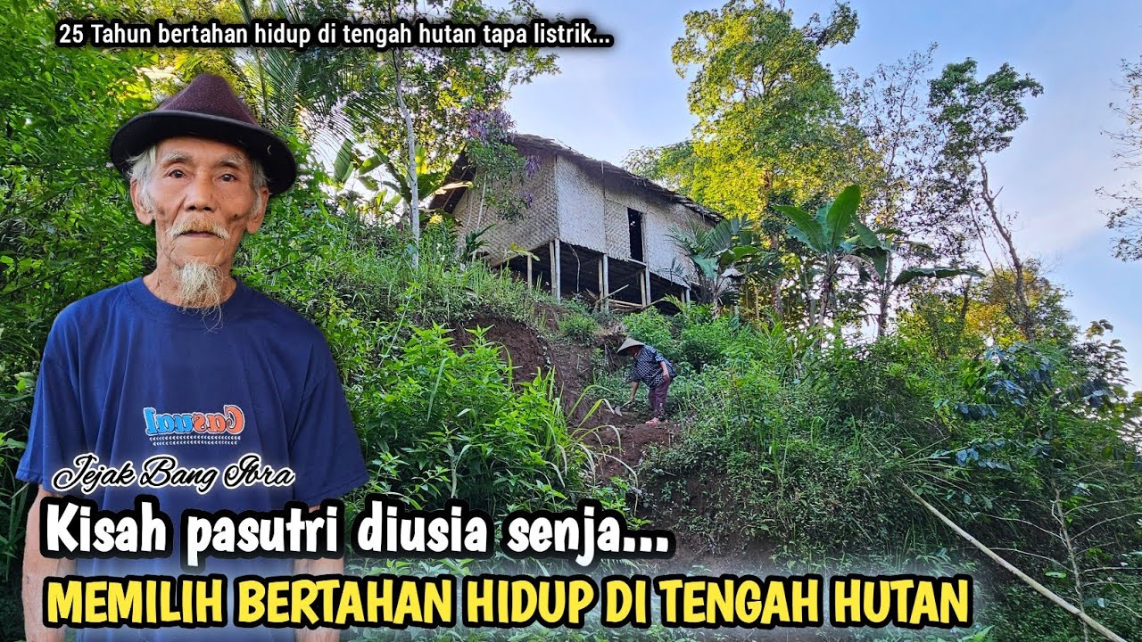 MENGUNJUNGI SEPASANG LANSIA YG PILIH BERTAHAN HIDUP DI TENGAH HUTAN BELANTARA TANPA LISTRIK...