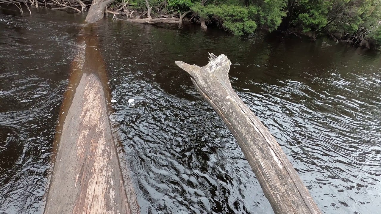Lake Rhona Track Gordon River Crossing Jan-2021