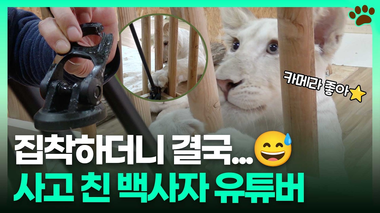 장비 파괴형 유튜버 루카&hellip;결국 사고쳤다😱 밥도 못 먹고 난리 난 루루남매ㅣTBC e슈