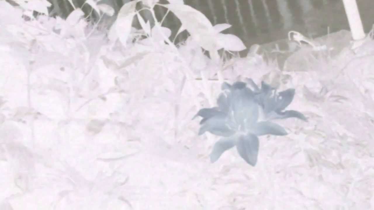Hunting Oscillation
