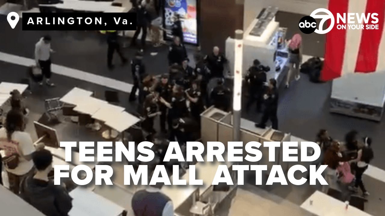 Mall fight in Virginia leads to the arrest of 3 teens