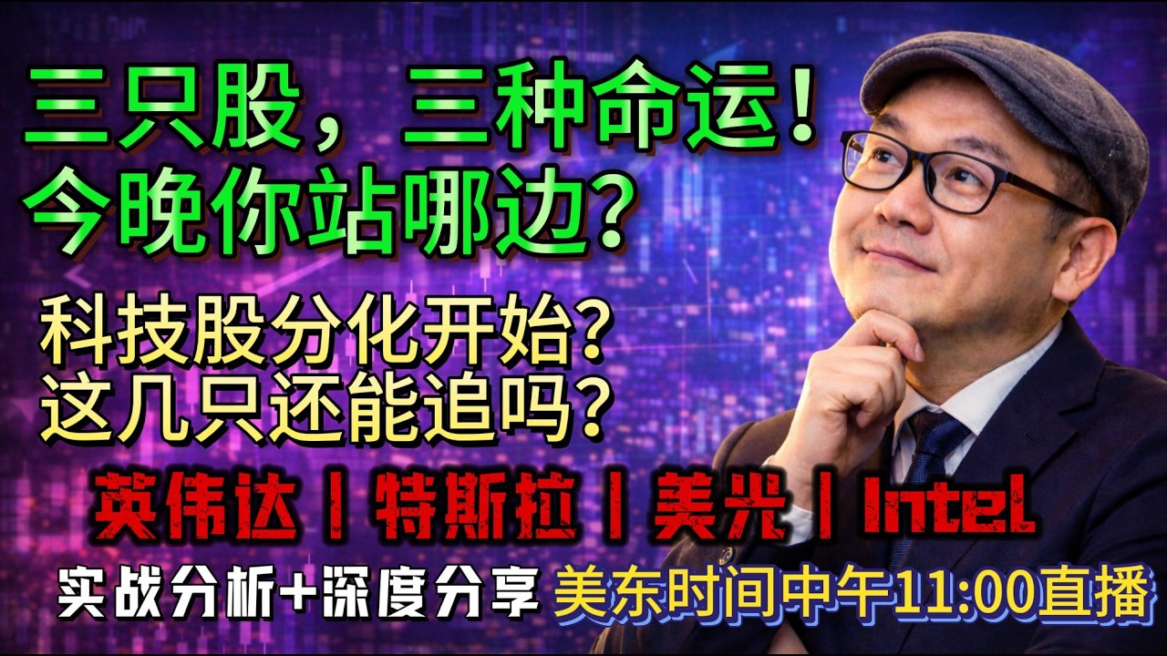 【美股盘前2026年2月11日直播】纳指回调是机会？英伟达、美光、特斯拉谁更值得布局？英伟达冲击196？英特尔47可抄？附期权策略！#美股#英伟达#特斯拉#美光#英特尔#科技股#美股投资#期权交易