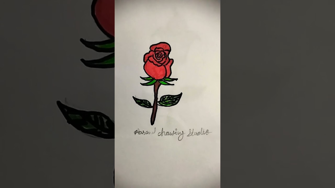 🌹🌹🌺 Rose flower drawing ||