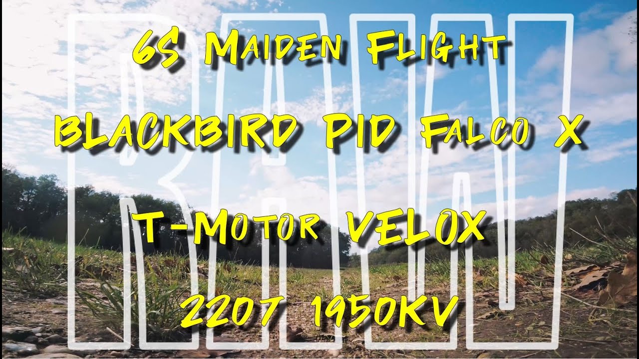 💪🔥6S BLACKBIRD PID FALCO X RAW 6S 🔥💪 MaidenFlight