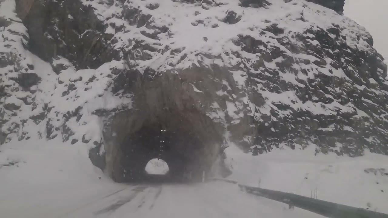 Snowy 