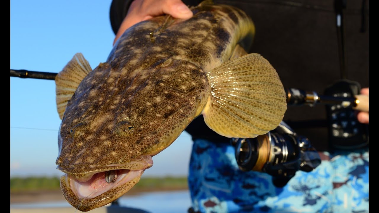 Tips for catching Flathead on Soft Plastics this Winter!