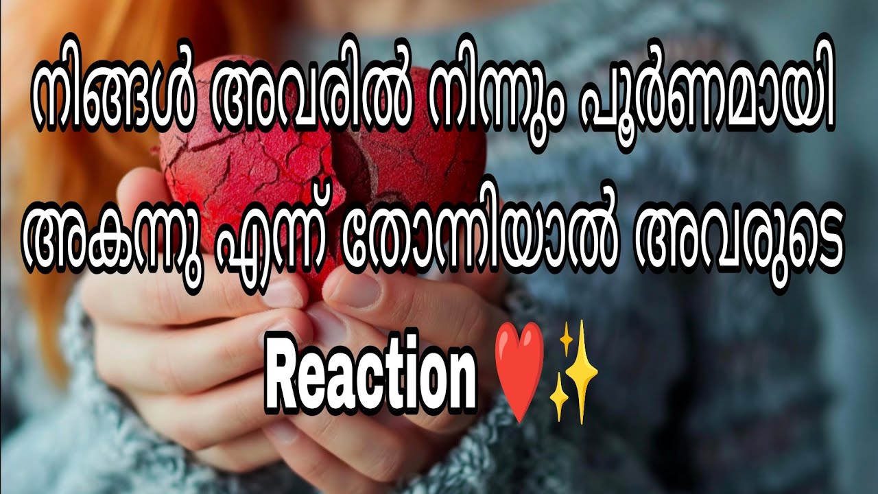 നിങ്ങൾ അവരിൽ നിന്നും പൂർണമായി അകന്നു എന്ന് തോന്നിയാൽ അവരുടെ Reaction ❤️✨