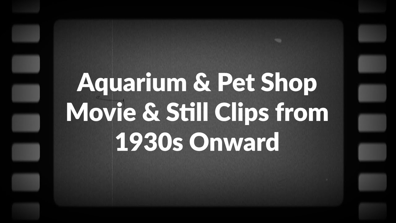 Aquarium and Pet Shop Movie Clips from 1930s Onward