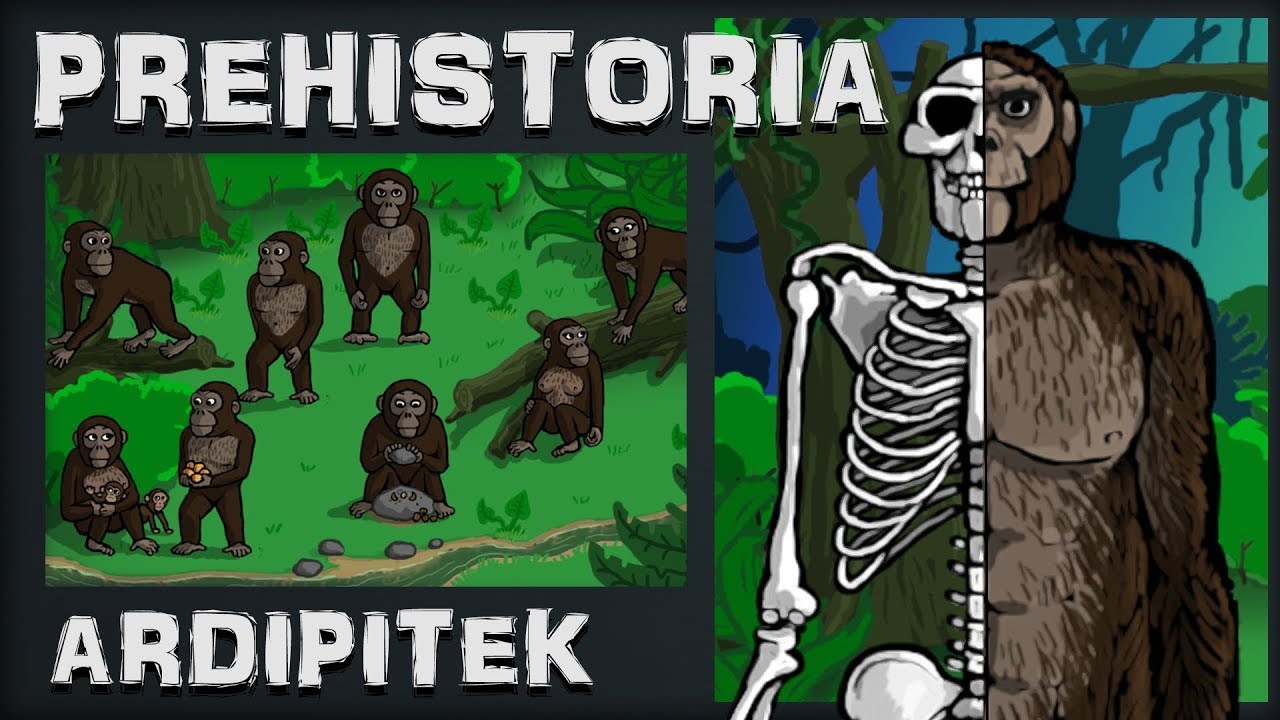Ardipitek - Najstarszy Przodek Człowieka - Prehistoria - Odc.1 - Historia na Szybko