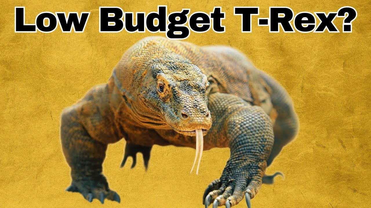 Why it sucks to be a komodo dragon