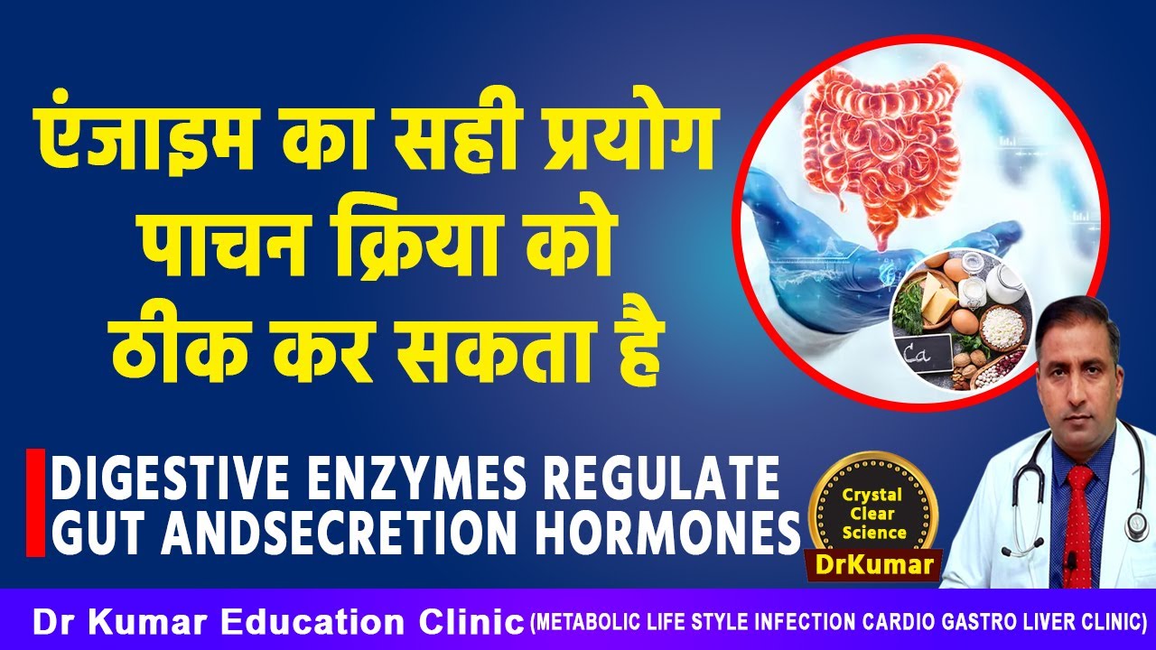 एंजाइम का सही प्रयोग पाचन क्रिया को ठीक कर सकता है WHY DIGESTIVE ENZYMES ARE KEY TO HOMONE BALANCE
