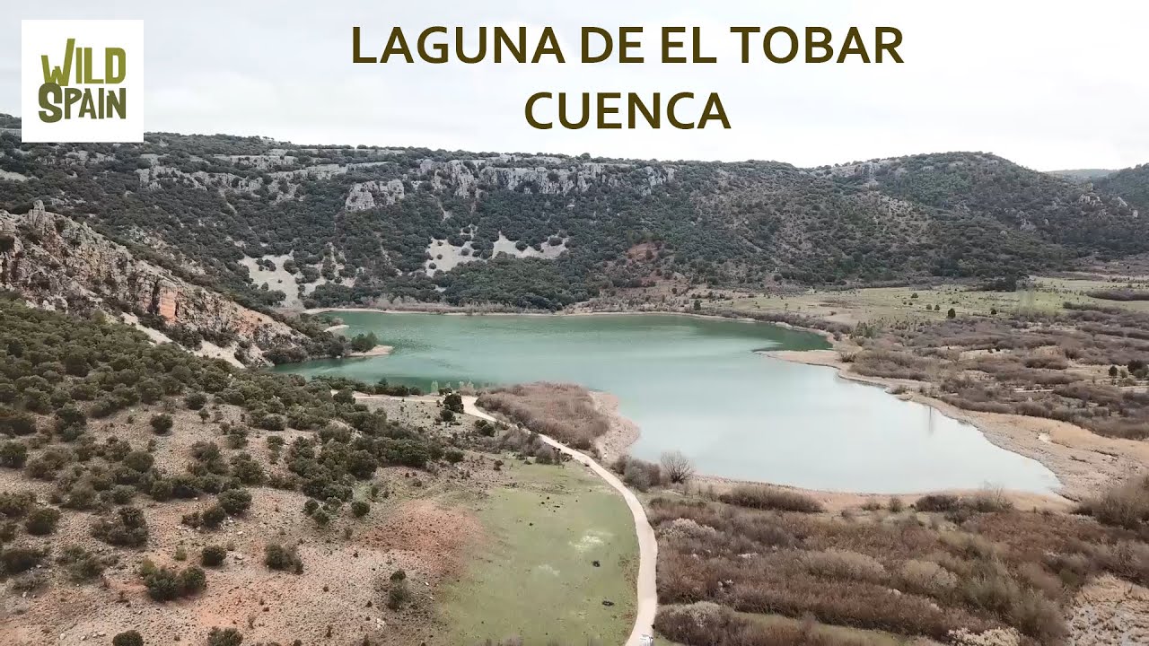 Wild Spain - Capítulo 247 - Laguna de El Tobar, Cuenca.