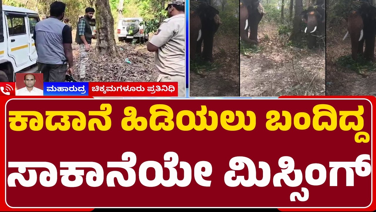 Elephant Incident : ಸಾಕಾನೆ ಹುಡುಕುತ್ತಾ ಹೈರಾಣಾದ ಅರಣ್ಯಾಧಿಕಾರಿಗಳು | Pura | @newsfirstchikkamagaluru