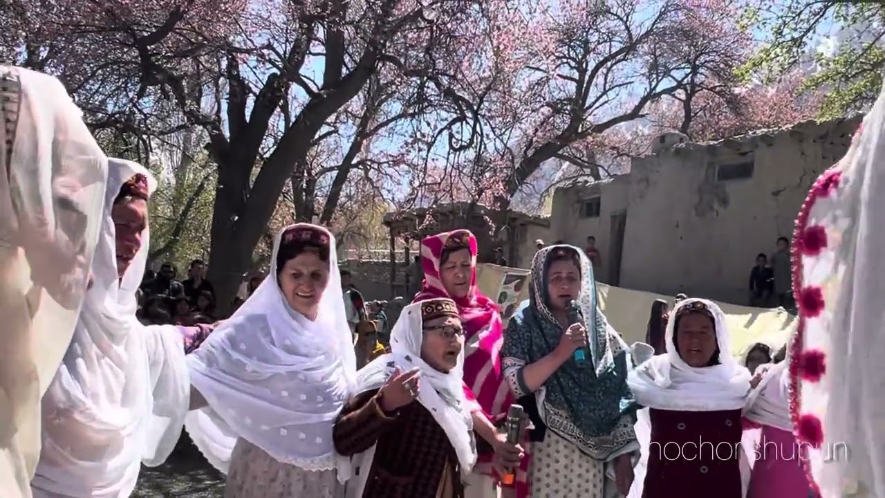 SPRING BLOSSOM FESTIVAL GULMIT GOJAL HUNZA|APRICOT BLOSSOM|CHERRY BLOSSOM|HUNZA TRADATION|🌸🌺