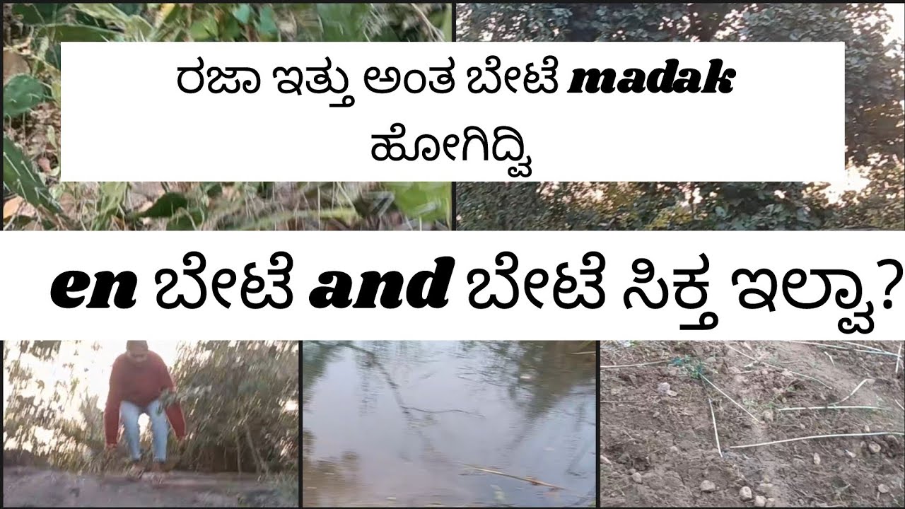 VLOG ||🏹 ರಜಾ ಇತ್ತು anta ಬೇಟೆ madak ಹೋಗಿದ್ವಿ || ನಮ್ಮ ಹಳ್ಳಿ vlog @yudvigowda 