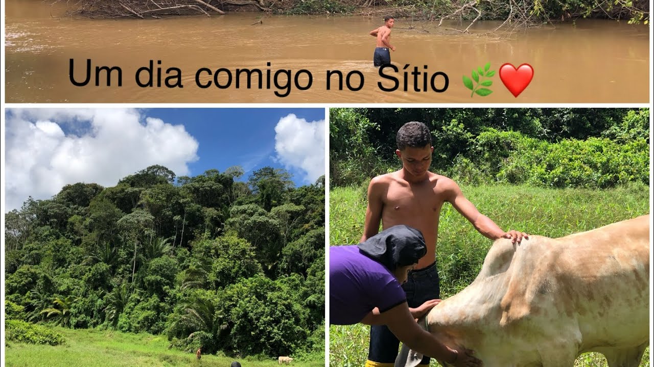 Um dia maravilhoso no sítio!! ❤️