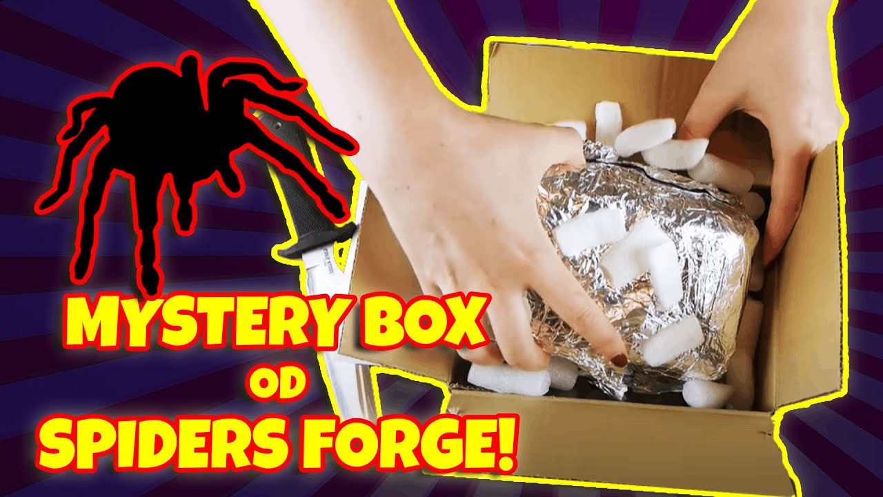 Mystery box z PTASZNIKAMI od SpidersForge!