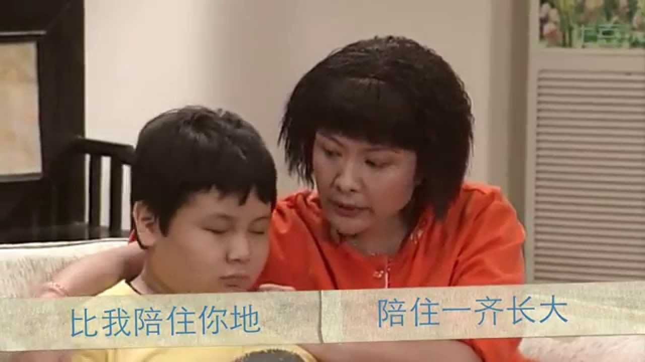天庥日记MV