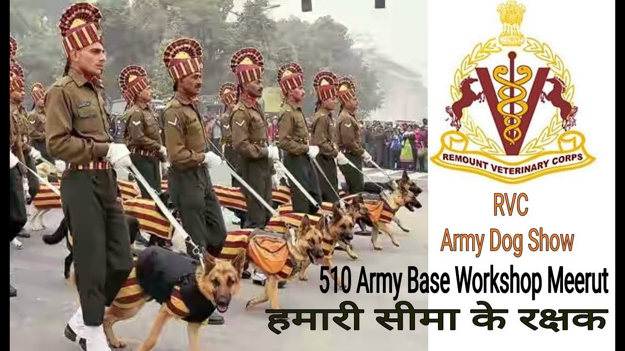 Dog Show at 510 Army Base workshop meerut | RVC center | Army dog show