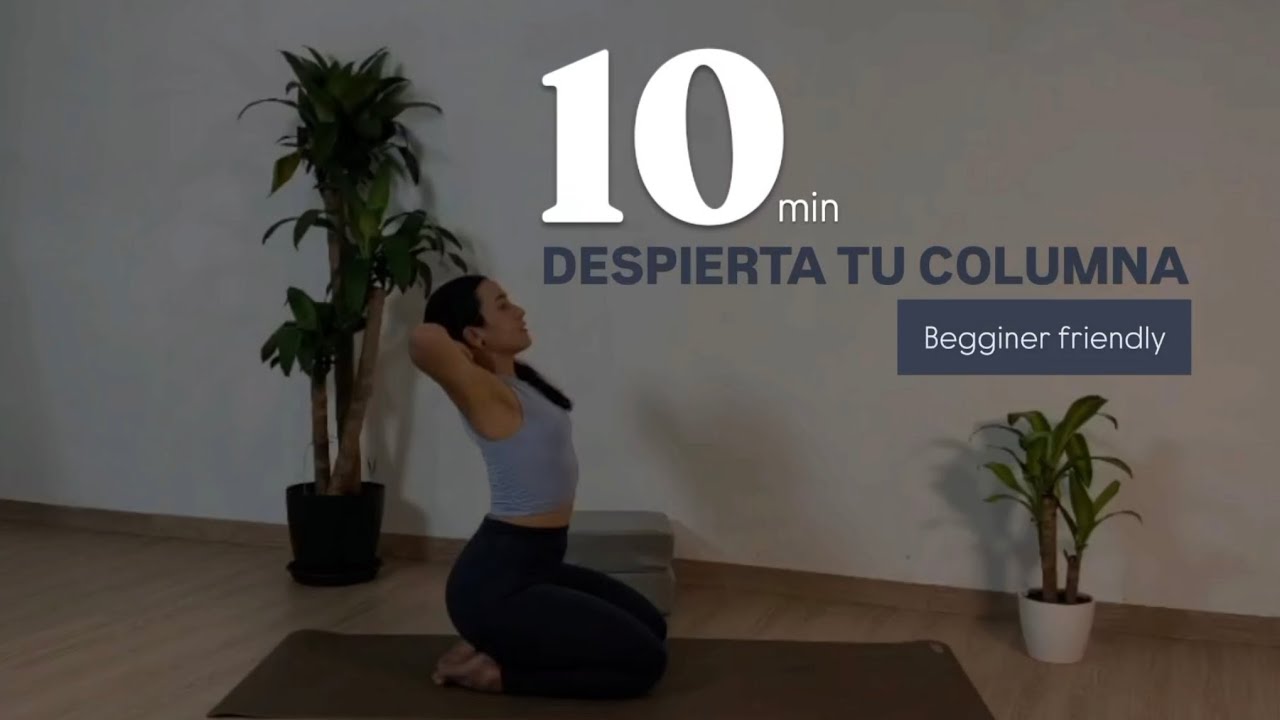 DESPIERTA TU COLUMNA (BASIC MOVES) 🌞 apta todo público | Movilidad Espinal