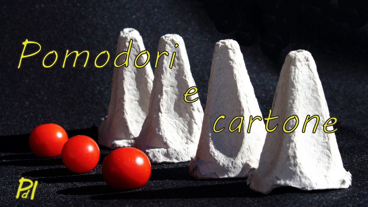Pomodori e cartone